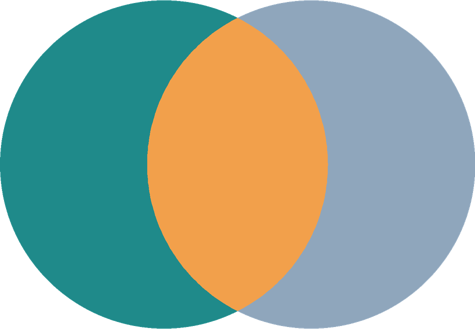 Mindset Consulting